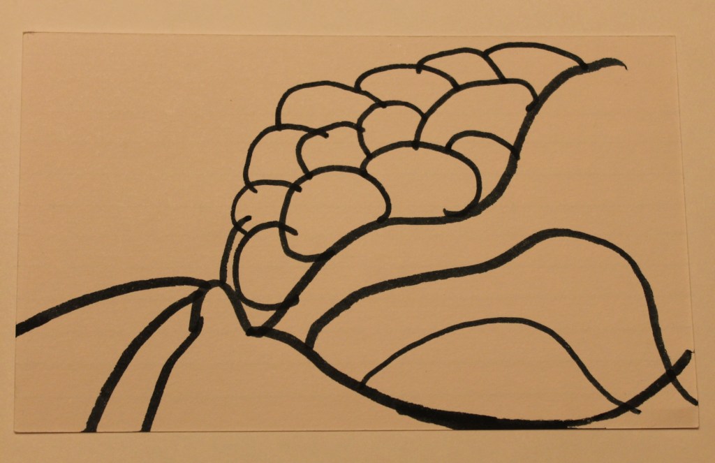 Stylized image resembling berries or balls, curved black lines.