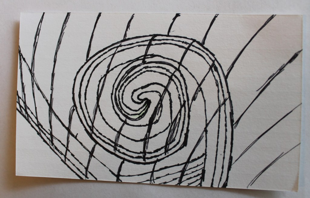 Abstract image in black pen.  Spiraling parallel lines coil into a snail shell shape, and are overlaid with curving parallel line segments the line arcs are broken when they encounter the shell lines suggesting layers and depth.